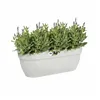 Hanging Planter Elho White Plastic 24 x 46 x 26,5 cm