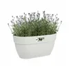 Plant pot Elho 3662603645100 White Plastic Rectangular Modern 24 x 36 x 26,5 cm