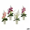 Decorative Flower Orchid Plastic 14 x 35 x 8 cm (12 Units)