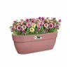 Hanging Planter Elho Pink