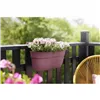 Hanging Planter Elho Pink