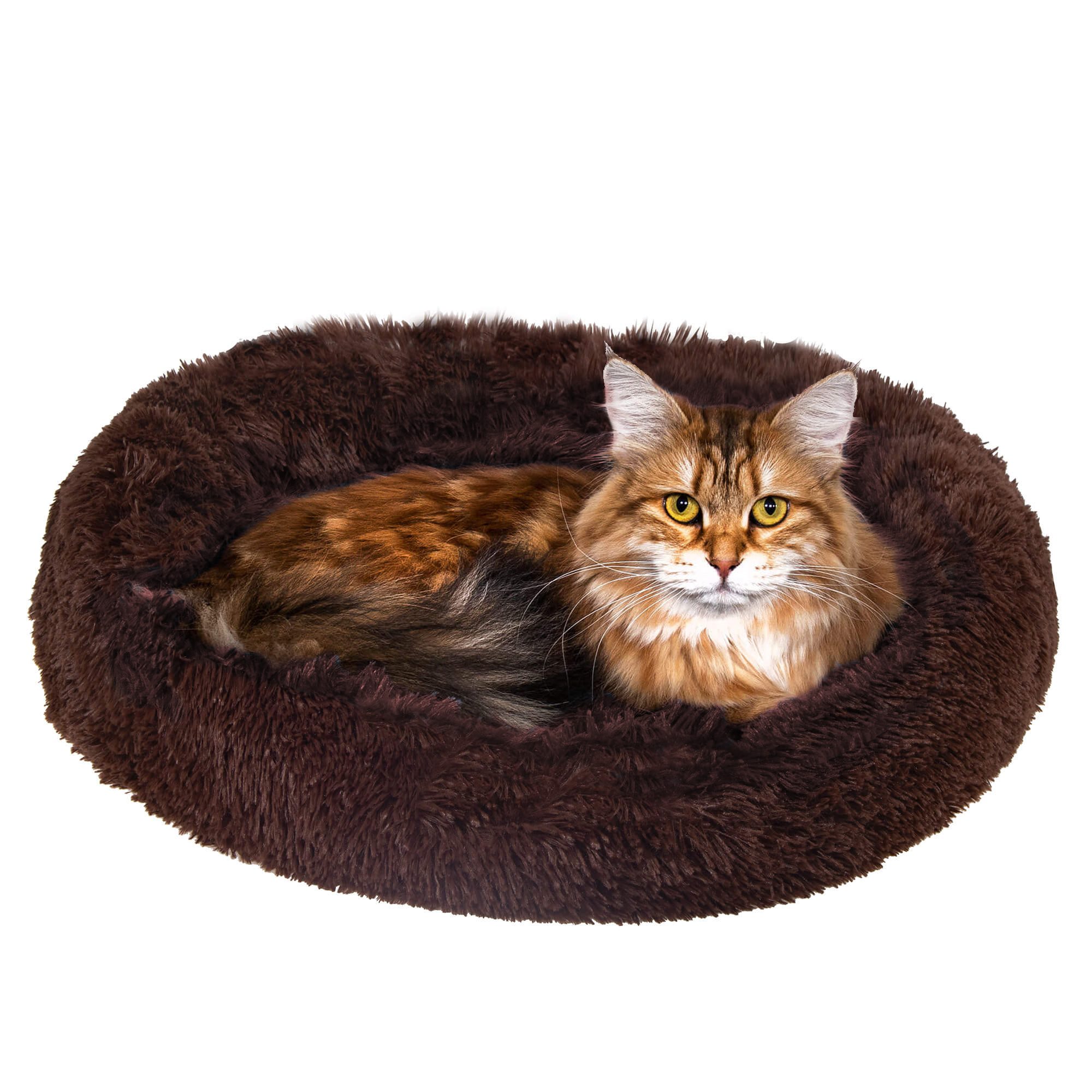 Kassi voodi Springos PA0139 40 cm | Osta veebist — Megaluks
