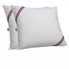 Set of 2 Pillows DODO White 60 x 60 cm (2 Units)