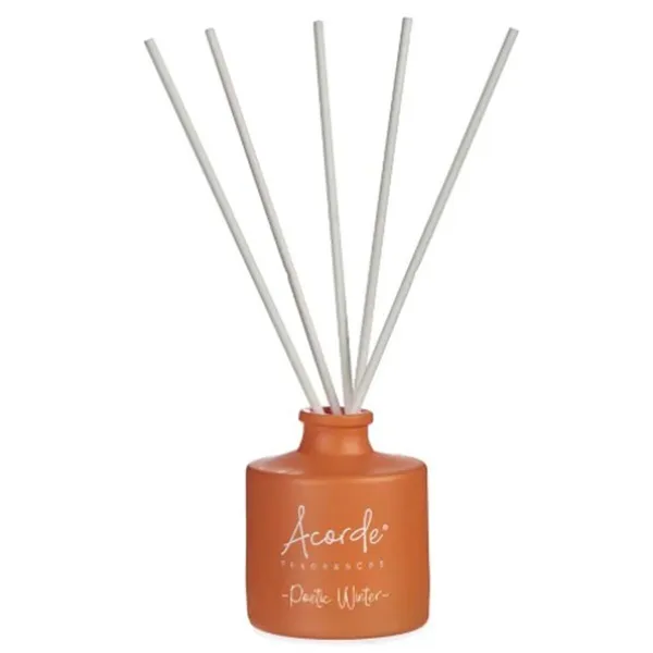 Perfume Sticks Cinnamon 100 ml (6 Units)