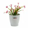 Planter Stefanplast White Plastic 19 x 17,5 x 19 cm (12 Units)