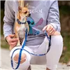 Dog Lead Stitch Grey Blue M