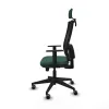 Office Chair with Headrest Horna Traslack Piqueras y Crespo 1D066G2