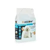 Puppy training pad 40 x 60 cm Blue White Paper Polyethylene (10 Units)