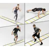 Training ladder