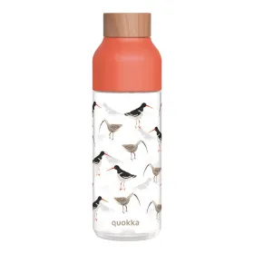 Quokka Ice - ecozen Water Bottle 720 ml (Birds)