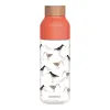 Quokka Ice - ecozen Water Bottle 720 ml (Birds)