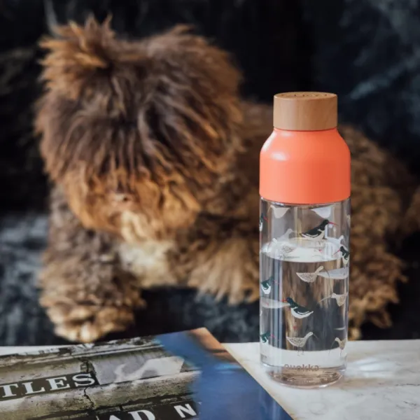 Quokka Ice - ecozen Water Bottle 720 ml (Birds)