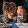 Quokka Ice - ecozen Water Bottle 720 ml (Birds)