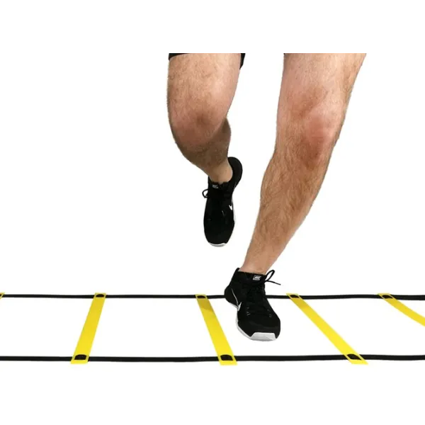 Training ladder