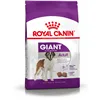 Fodder Royal Canin Giant Adult 15 kg Adult