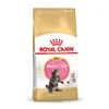 Cat food Royal Canin Maine Coon Kitten 10 kg