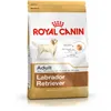 Fodder Royal Canin Labrador Retriever Adult 12 kg Adult Rice Birds 20-40 Kg