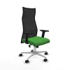 Ofiso kėdė Piqueras y Crespo B2D086N Žalia