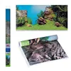 Poster Juwel 1 L Mural Aquarium