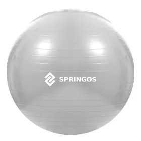 Treeningpall pumbaga Springos FB0008 75cm | Osta veebist — Megaluks
