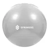 Kuntopallo pumpulla Springos FB0008 75cm | Osta verkosta — Megaluks