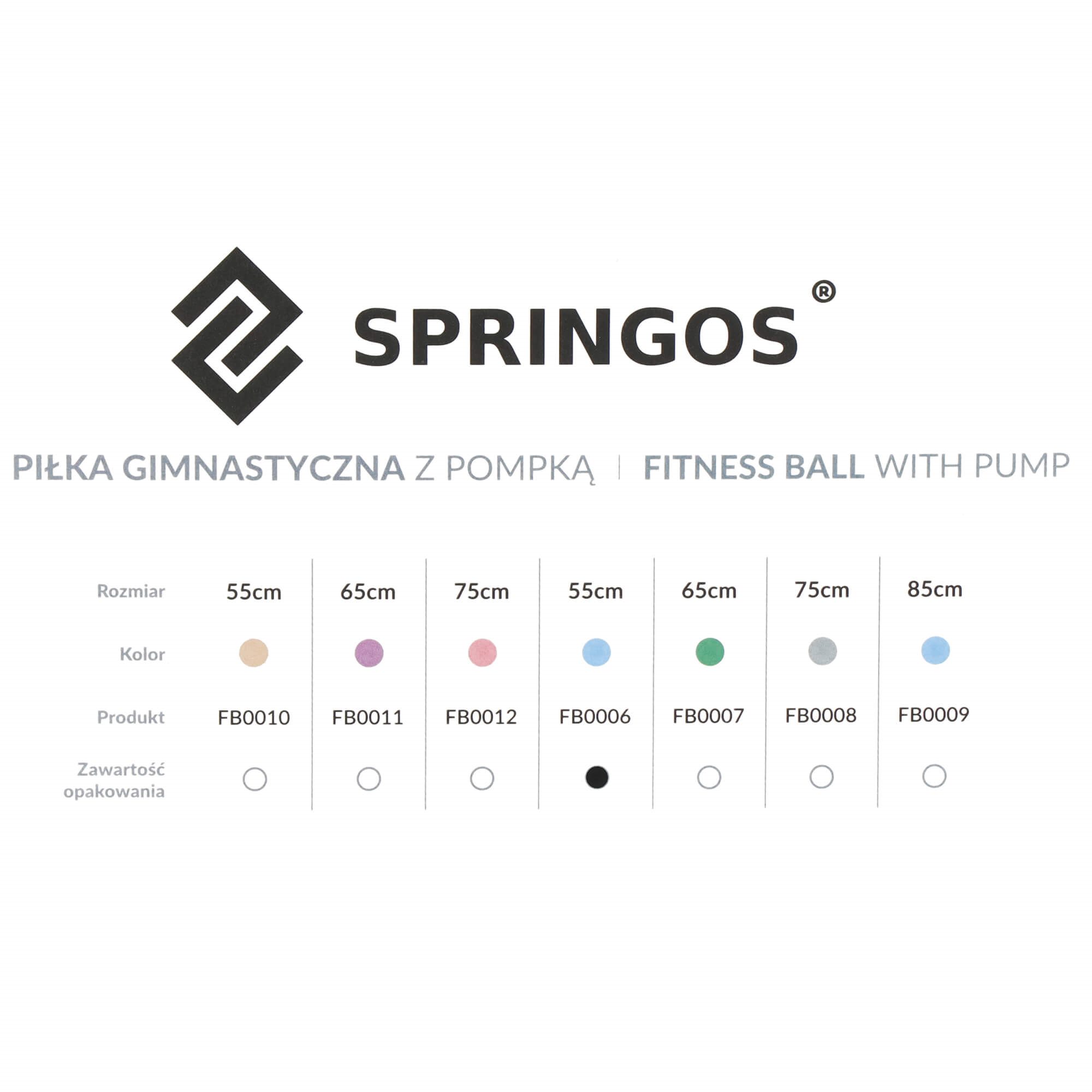 Kuntopallo pumpulla Springos FB0006 55cm | Osta verkosta — Megaluks