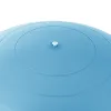 Kuntopallo pumpulla Springos FB0006 55cm | Osta verkosta — Megaluks