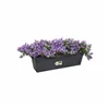 Plant pot Elho Black 16,5 x 58,5 x 13,7 cm