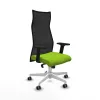 Office Chair Piqueras y Crespo B2D026G Pistachio