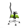 Office Chair Piqueras y Crespo B2D086G Pistachio