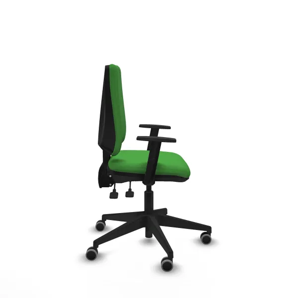 Biroja krēsls Piqueras y Crespo B1D066G Zaļš