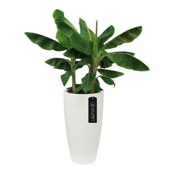 Plant pot Elho White Circular