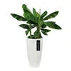 Plant pot Elho White Circular