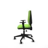 Office Chair Piqueras y Crespo B1D066G Pistachio
