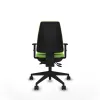 Office Chair Piqueras y Crespo B1D066N Pistachio