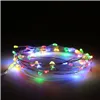 Strip of lights LED Multicolour 10 m