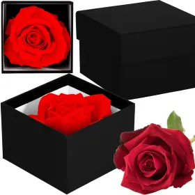 Eternal rose Springos HA7447 in a gift box | Buy online — Megaluks