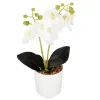Dirbtinė orchidėja Springos HA7423 | Pirkti internetu — Megaluks