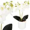 Dirbtinė orchidėja Springos HA7423 | Pirkti internetu — Megaluks