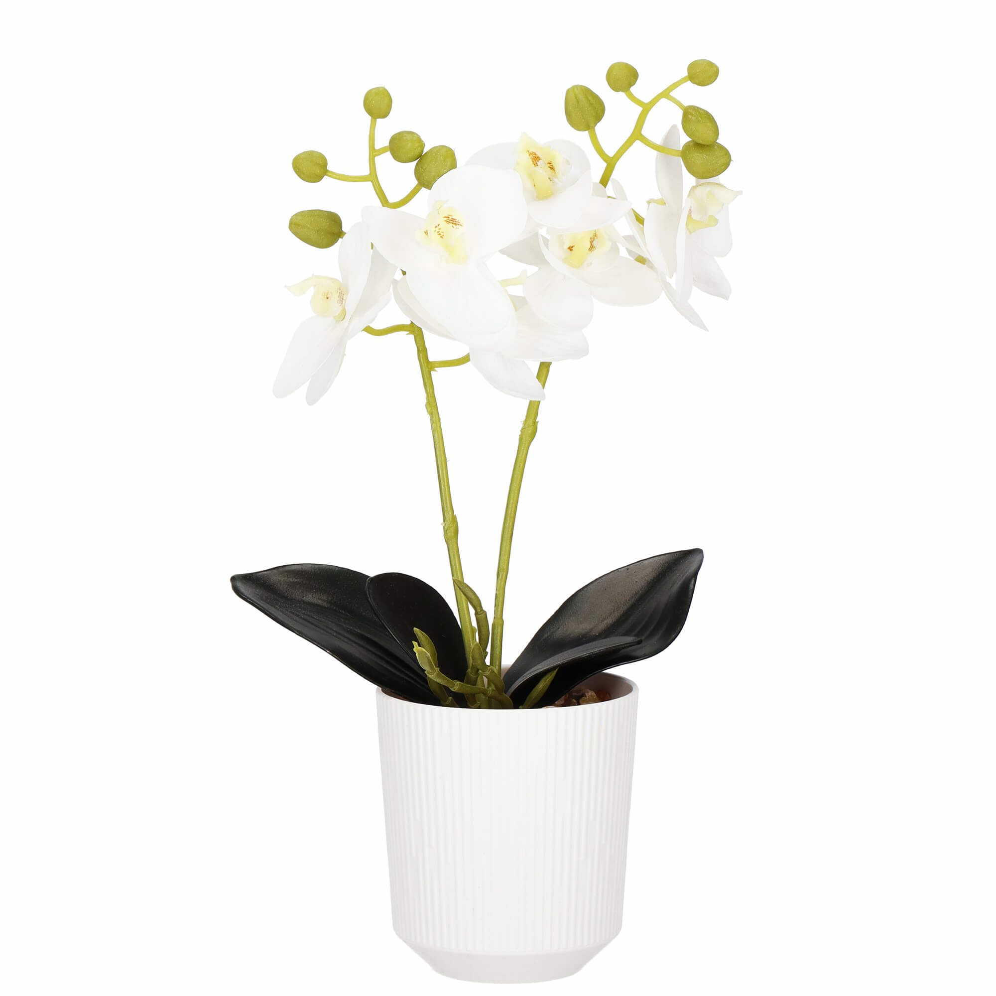 Dirbtinė orchidėja Springos HA7423 | Pirkti internetu — Megaluks