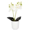 Dirbtinė orchidėja Springos HA7423 | Pirkti internetu — Megaluks