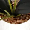 Dirbtinė orchidėja Springos HA7423 | Pirkti internetu — Megaluks