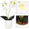 Dirbtinė orchidėja Springos HA7423 | Pirkti internetu — Megaluks