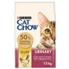 Cat food Purina Special Care Urinary Tract Health Adult Chicken 15 kg