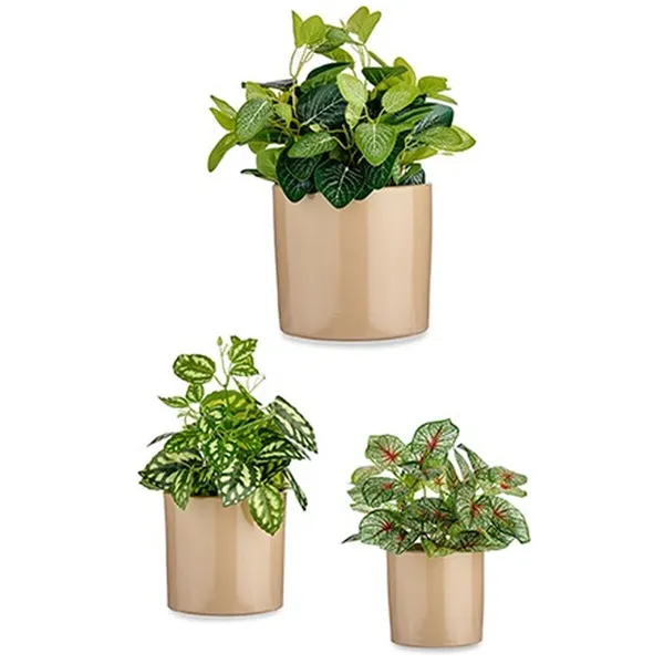 Set of pots 3 Pieces Ø 14 cm Ø 22 cm Ø 17 cm Cylinder Beige