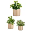 Set of pots 3 Pieces Ø 14 cm Ø 22 cm Ø 17 cm Cylinder Beige