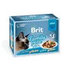 Cat food Brit Pouch Gravy Tuna Turkey Veal 12 x 85 g