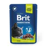 Cat food Brit Premium Lamb 100 g