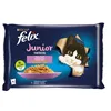 Cat food Purina Fantastic Chicken Salmon 340 g