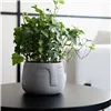 Planter Vinthera Moa Dark grey Ceramic 12,5 x 10,5 cm